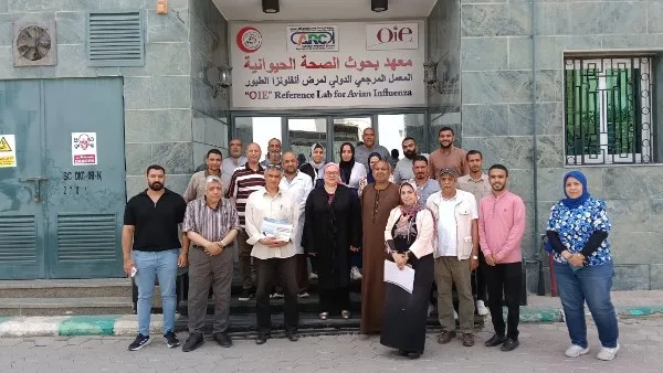 معهد الصحة الحيوانية ينفذ دورة تدريبية لمربي الدواجن والماشية في مختلف المحافظات معهد الصحة الحيوانية ينفذ دورة تدريبية لمربي الدواجن والماشية في مختلف المحافظات
