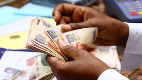 معلومات عن موعد دفع رواتب يونيو 2025 في مصر معلومات عن موعد دفع رواتب يونيو 2025 في مصر