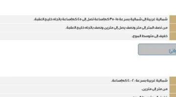 حالة الطقس في يوم عرفة: أمطار رعدية وضباب وغبار في عدة مناطق بالمملكة
