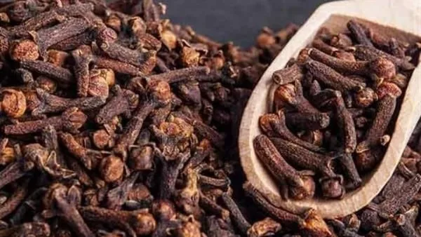 فوائد مذهلة: كيف يؤثر استهلاك القرنفل على جسمك؟ فوائد مذهلة: كيف يؤثر استهلاك القرنفل على جسمك؟
