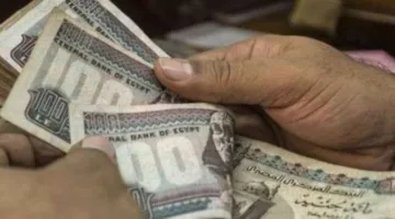 مكافأة نهاية الخدمة والمعاش: احسب حقوقك وفقاً للقانون الجديد للقطاع الخاص