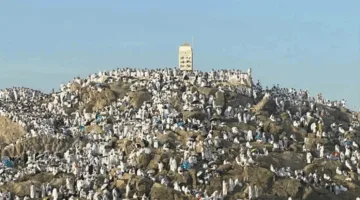 “اجب اللهم اجب” .. صوت الإيمان يتردد في عرفات وسط مشاعر الخشوع والأمل