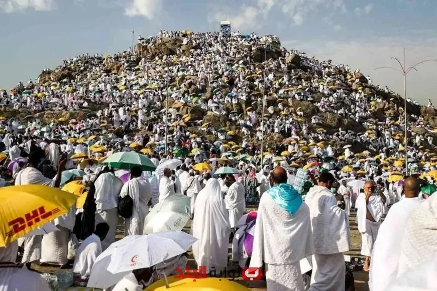 وصول حجاج بيت الله إلى مشعر عرفات: الأهمية الكبرى في النقل المباشر! وصول حجاج بيت الله إلى مشعر عرفات: الأهمية الكبرى في النقل المباشر!