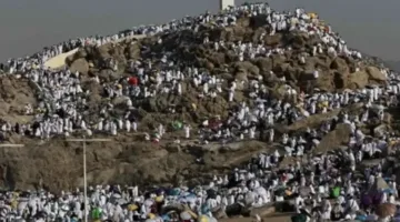 رئيس بعثة الحج: نحرص على تقديم كافة التسهيلات والخدمات لحجاج القرعة في عرفات لضمان تجربة استثنائية.