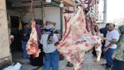 إصدار 17 محضرًا، منها مخالفة ذبح في بني سويف، تحضيرًا لعيد الأضحى إصدار 17 محضرًا، منها مخالفة ذبح في بني سويف، تحضيرًا لعيد الأضحى