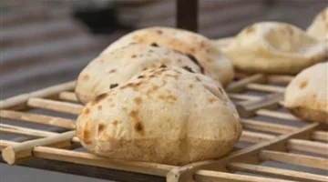 جهود الحماية الاجتماعية: تحقيق الاكتفاء الذاتي في الخبز وتوسع زراعي كبير، بالإضافة إلى دعم شامل خلال الأعياد.