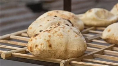 جهود الحماية الاجتماعية: تحقيق الاكتفاء الذاتي في الخبز وتوسع زراعي كبير، بالإضافة إلى دعم شامل خلال الأعياد. جهود الحماية الاجتماعية: تحقيق الاكتفاء الذاتي في الخبز وتوسع زراعي كبير، بالإضافة إلى دعم شامل خلال الأعياد.