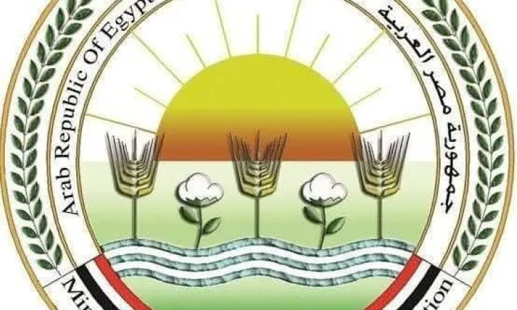 حدائق وزارة الزراعة تستعد لاستقبال زوار عيد الأضحى من خلال خطة شاملة حدائق وزارة الزراعة تستعد لاستقبال زوار عيد الأضحى من خلال خطة شاملة