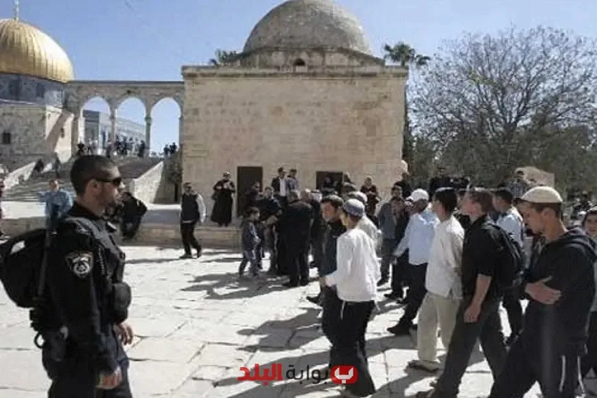 مستوطنون يعتدون على المسجد الأقصى وسط حماية مشددة من قوات الاحتلال مستوطنون يعتدون على المسجد الأقصى وسط حماية مشددة من قوات الاحتلال