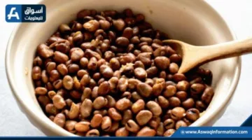 سعر الفول اليوم الخميس لدى التجار: كم يبلغ سعر أردب الفول البلدي؟