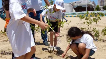 «البيئة» تنطلق بحملات لتنظيف الشواطئ وقاع البحر في عدة مناطق من الإسكندرية