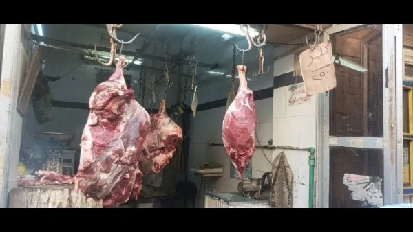 جهود مكثفة لتأمين توافر السلع قبل عيد الأضحى: تحرير 156 محضرًا للمخالفين في أسوان جهود مكثفة لتأمين توافر السلع قبل عيد الأضحى: تحرير 156 محضرًا للمخالفين في أسوان