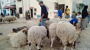 عيد الأضحى وظاهرة الجفاف العالمية: تأثير التغيرات المناخية على سوق الماشية.