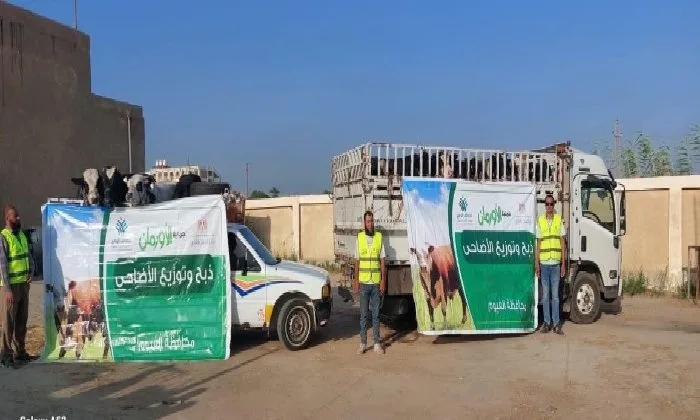 الأورمان تستعد لذبح 45 عجلًا محليًا في الفيوم لتوزيعها على الأسر المحتاجة بعد عيد الأضحى الأورمان تستعد لذبح 45 عجلًا محليًا في الفيوم لتوزيعها على الأسر المحتاجة بعد عيد الأضحى