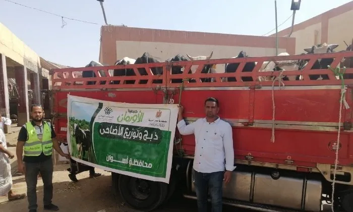 الأورمان تطلق أكبر حملة للأضاحي من أسوان: 2000 رأس عجل ومليون كيلو من اللحوم للفقراء مجاناً الأورمان تطلق أكبر حملة للأضاحي من أسوان: 2000 رأس عجل ومليون كيلو من اللحوم للفقراء مجاناً