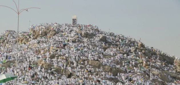 الوقوف في عرفة: تذكير عظيم بيوم القيامة، توضيحات من أمين الفتوى الوقوف في عرفة: تذكير عظيم بيوم القيامة، توضيحات من أمين الفتوى