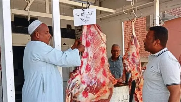 حملة تفتيش في أسوان تستهدف المحلات والمطاعم والنتائج كانت مدهشة حملة تفتيش في أسوان تستهدف المحلات والمطاعم والنتائج كانت مدهشة