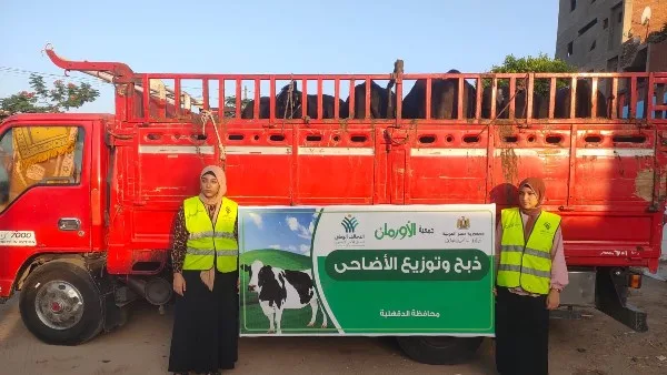 بلدية عجول وألف طن من اللحوم المستوردة… الأورمان تقدم الأضاحي للفقراء في 2025