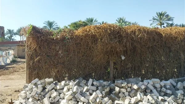 وزارة الزراعة تعزز جهودها لحماية الأراضي الزراعية من التعديات وزارة الزراعة تعزز جهودها لحماية الأراضي الزراعية من التعديات