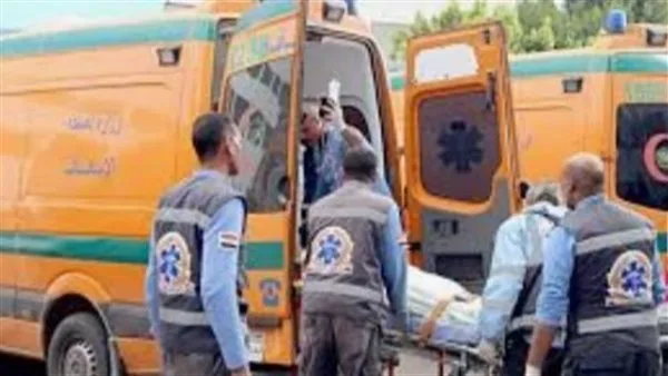 شاحنة تودي بحياة شاب بشكل مأساوي على طريق في الفيوم