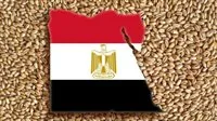 مصر توسع مصادر استيراد القمح بسبب التوترات الجيوسياسية مصر توسع مصادر استيراد القمح بسبب التوترات الجيوسياسية