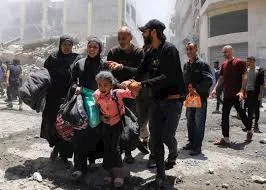صورة 4 فيتو