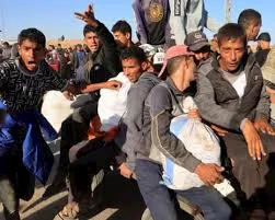صورة 5 فيتو