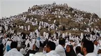 رئيس البعثة الطبية المصرية: كان صعود الحجاج إلى عرفات سهلاً وميسراً رئيس البعثة الطبية المصرية: كان صعود الحجاج إلى عرفات سهلاً وميسراً
