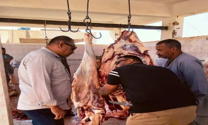 إتلاف 82 كيلو من اللحوم والمواد الغذائية غير الصالحة وتسجيل محاضر في حملات الرقابة التموينية بأسوان إتلاف 82 كيلو من اللحوم والمواد الغذائية غير الصالحة وتسجيل محاضر في حملات الرقابة التموينية بأسوان