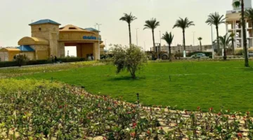 استمرار تحسين وتجميل المساحات الخضراء في المحاور الرئيسية ومداخل مارينا