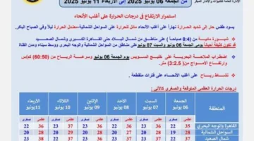 توقعات الطقس خلال عيد الأضحى.. الأرصاد تنبه من زيادة درجات الحرارة