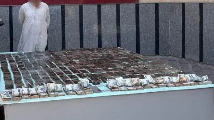 مقتل عنصرين من العصابات الإجرامية الخطيرة في المنوفية.. والقبض على آخرين من تجار المخدرات في عدة محافظات. مقتل عنصرين من العصابات الإجرامية الخطيرة في المنوفية.. والقبض على آخرين من تجار المخدرات في عدة محافظات.