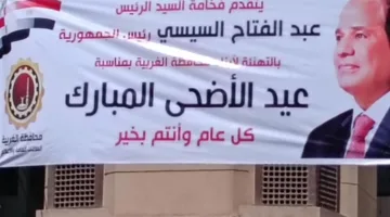 عروس الدلتا تتهيأ للاحتفال بعيد الأضحى.. تهاني الرئيس السيسي وأجواء العيد تسود شوارع الغربية