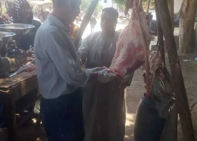 قبل حلول العيد.. ضبط 28 مخالفة في مجال الطب البيطري بالمنيا قبل حلول العيد.. ضبط 28 مخالفة في مجال الطب البيطري بالمنيا