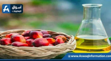 تراجع العقود الآجلة لزيت النخيل الماليزي بعد ثلاث جلسات من الارتفاع.