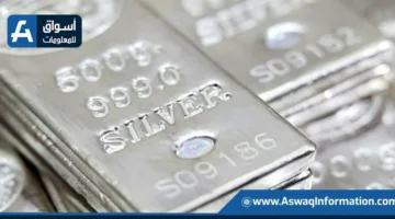 زيادة أسعار الفضة عالمياً لأعلى مستوى خلال 13 سنة