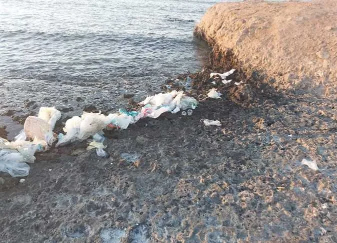 موظفو فنادق الغردقة يشاركون في حملات تنظيف الشواطئ من النفايات البلاستيكية موظفو فنادق الغردقة يشاركون في حملات تنظيف الشواطئ من النفايات البلاستيكية