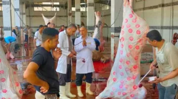 «رهاب الذبح».. اكتشف الأساليب الصحيحة لتفادي صدمة مشاهدة الأضحية