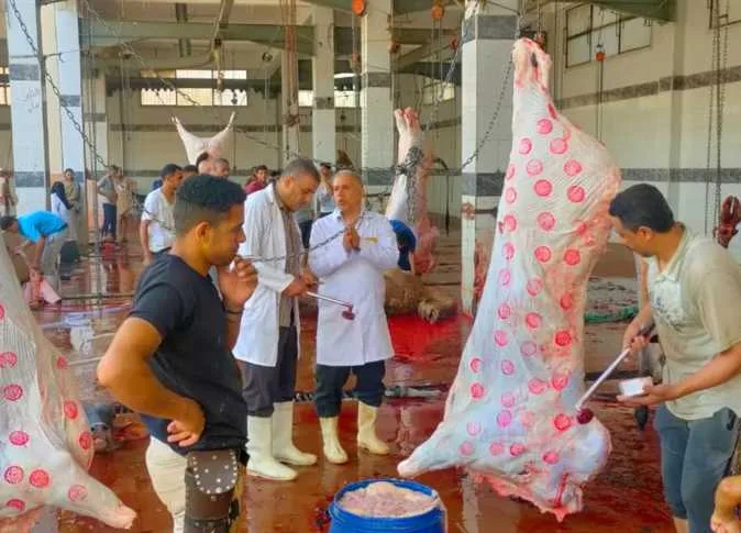 «رهاب الذبح».. اكتشف الأساليب الصحيحة لتفادي صدمة مشاهدة الأضحية