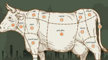 دليل كامل لقطع لحم وأساليب الطهي المناسبة لها