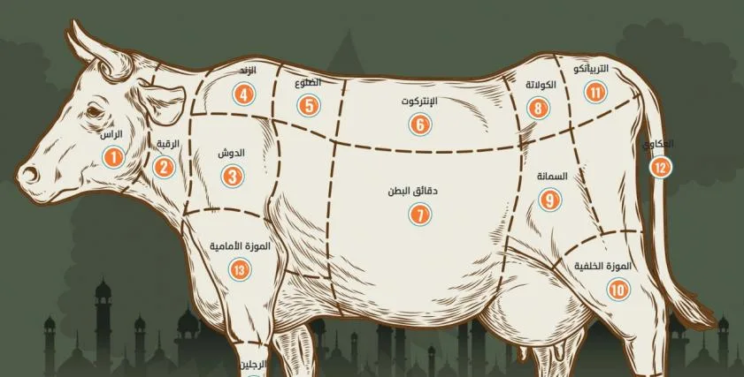 دليل كامل لقطع لحم وأساليب الطهي المناسبة لها دليل كامل لقطع لحم وأساليب الطهي المناسبة لها