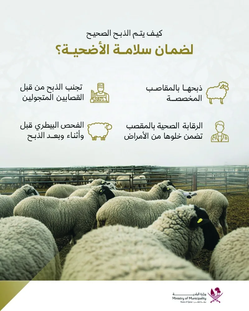 البلدية: اقتناء الأضاحي من المواقع المراقبة بيطرياً البلدية: اقتناء الأضاحي من المواقع المراقبة بيطرياً