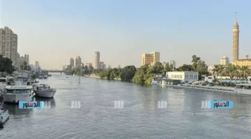 “إكسترا نيوز”: الطقس المعتدل اليوم ساهم في تعزيز احتفالات المواطنين بعيد الأضحى المبارك
