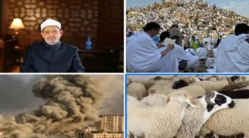 برنامج حواري | الإمام الأكبر يهنئ الرئيس السيسي وزعماء العالم الإسلامي بمناسبة عيد الأضحى.. عدد الحجاج يصل إلى 1.7 مليون من 171 جنسية