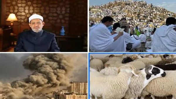 برنامج حواري | الإمام الأكبر يهنئ الرئيس السيسي وزعماء العالم الإسلامي بمناسبة عيد الأضحى.. عدد الحجاج يصل إلى 1.7 مليون من 171 جنسية برنامج حواري | الإمام الأكبر يهنئ الرئيس السيسي وزعماء العالم الإسلامي بمناسبة عيد الأضحى.. عدد الحجاج يصل إلى 1.7 مليون من 171 جنسية
