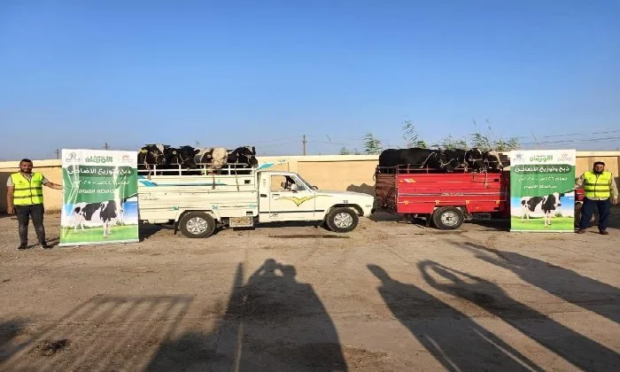 في إطار مبادرة “حياة كريمة”… الأورمان تبدأ ذبح الأضاحي في الفيوم في أول أيام عيد الأضحى في إطار مبادرة “حياة كريمة”… الأورمان تبدأ ذبح الأضاحي في الفيوم في أول أيام عيد الأضحى
