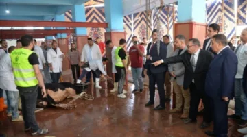 محافظ الدقهلية يتفقد عملية ذبح الأضاحي في مجزر طنامل ويؤكد على سلامة اللحوم وتوزيعها على المستفيدين.