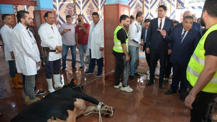 محافظ الدقهلية يشرف على ذبح الأضاحي في مجزر طنامل لتوزيعها على الأسر المحتاجة. محافظ الدقهلية يشرف على ذبح الأضاحي في مجزر طنامل لتوزيعها على الأسر المحتاجة.