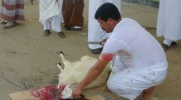 ما هي الأدعية المرتبطة بذبح الأضحية؟ نية الذبح وأدعية القبول في عيد الأضحى