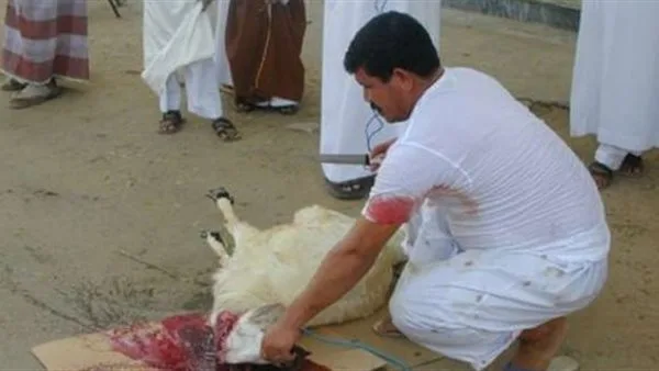 ما هي الأدعية المرتبطة بذبح الأضحية؟ نية الذبح وأدعية القبول في عيد الأضحى ما هي الأدعية المرتبطة بذبح الأضحية؟ نية الذبح وأدعية القبول في عيد الأضحى